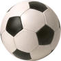 North Carolina High School Athletic Association's 2006 Women's Soccer Championships